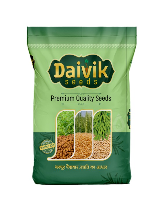 Daivik 8759